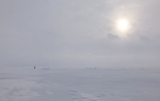 Russia North Pole Icebreaker Expedition