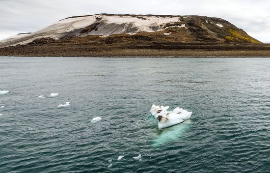 Russia North Pole Icebreaker Expedition