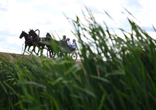 Russia Equestrian Orlov Trotter Festival