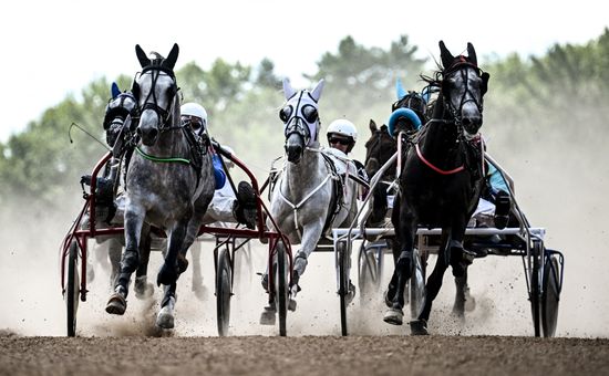 Russia Equestrian Orlov Trotter Festival