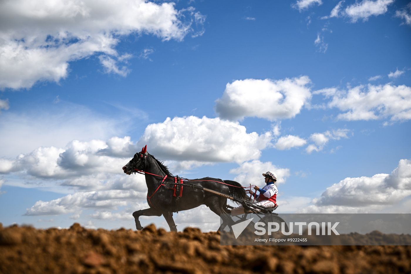 Russia Equestrian Orlov Trotter Festival