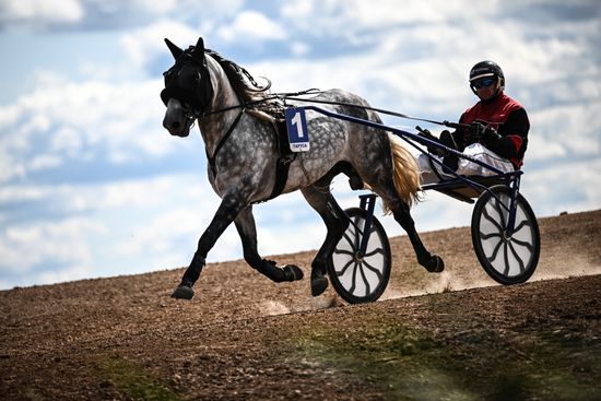Russia Equestrian Orlov Trotter Festival