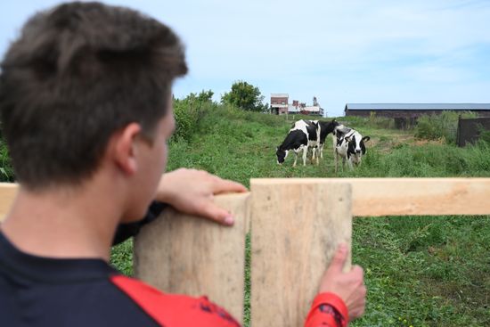Russia Agriculture Livestock Disease