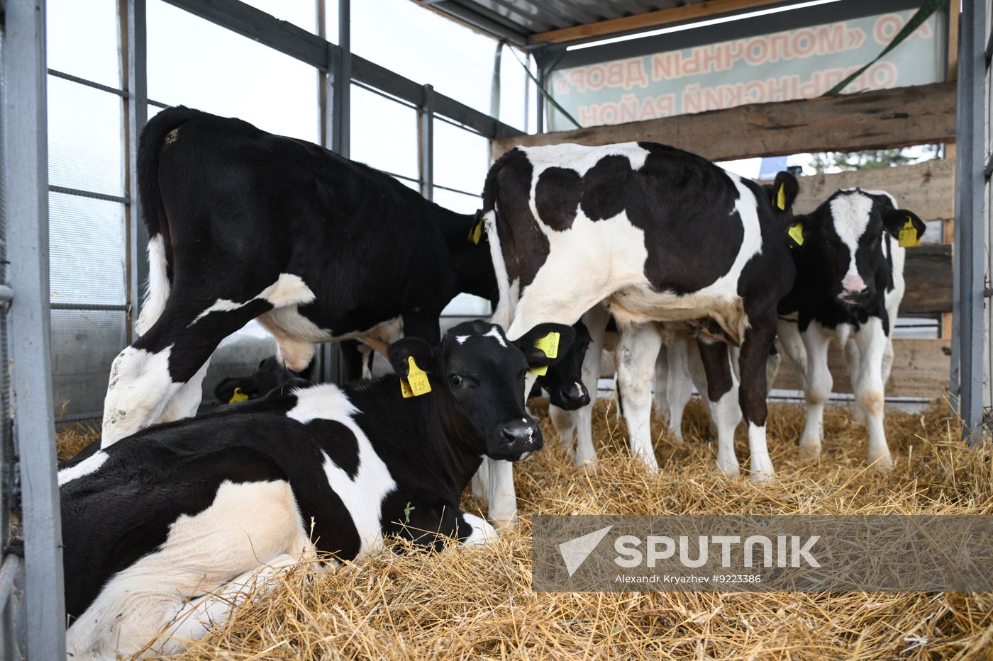 Russia Agriculture Livestock Disease