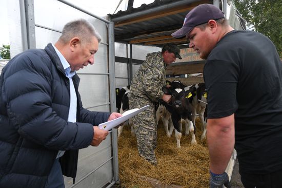 Russia Agriculture Livestock Disease