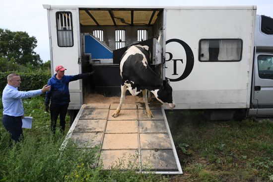Russia Agriculture Livestock Disease