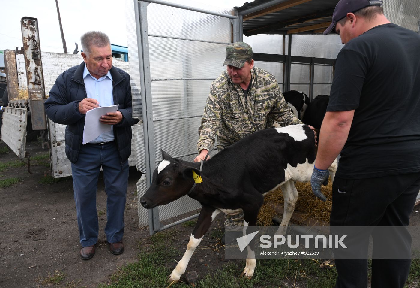 Russia Agriculture Livestock Disease