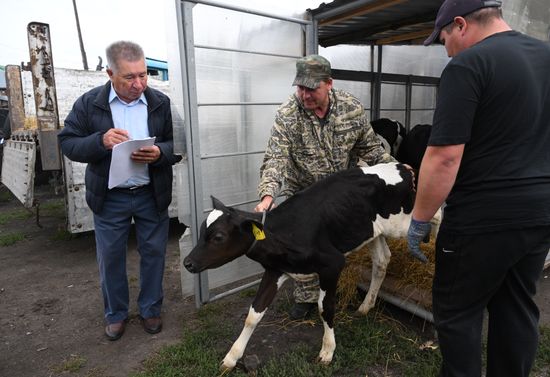 Russia Agriculture Livestock Disease