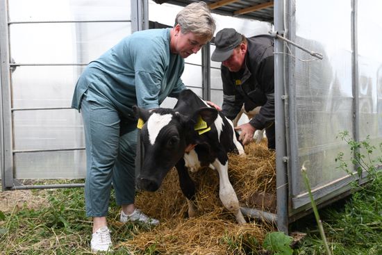 Russia Agriculture Livestock Disease
