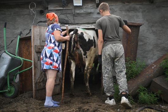 Russia Agriculture Livestock Disease
