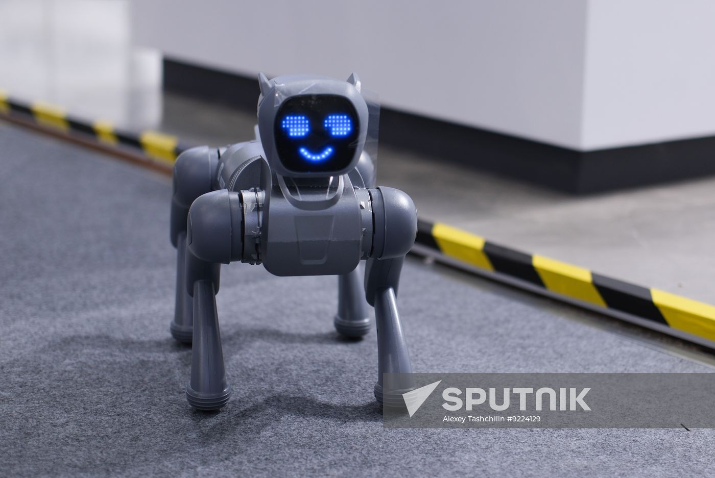 China World Robot Conference