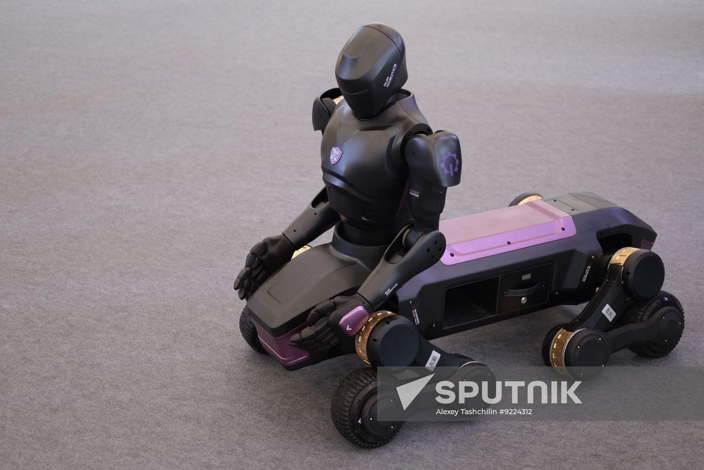 China World Robot Conference