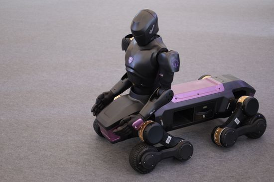 China World Robot Conference