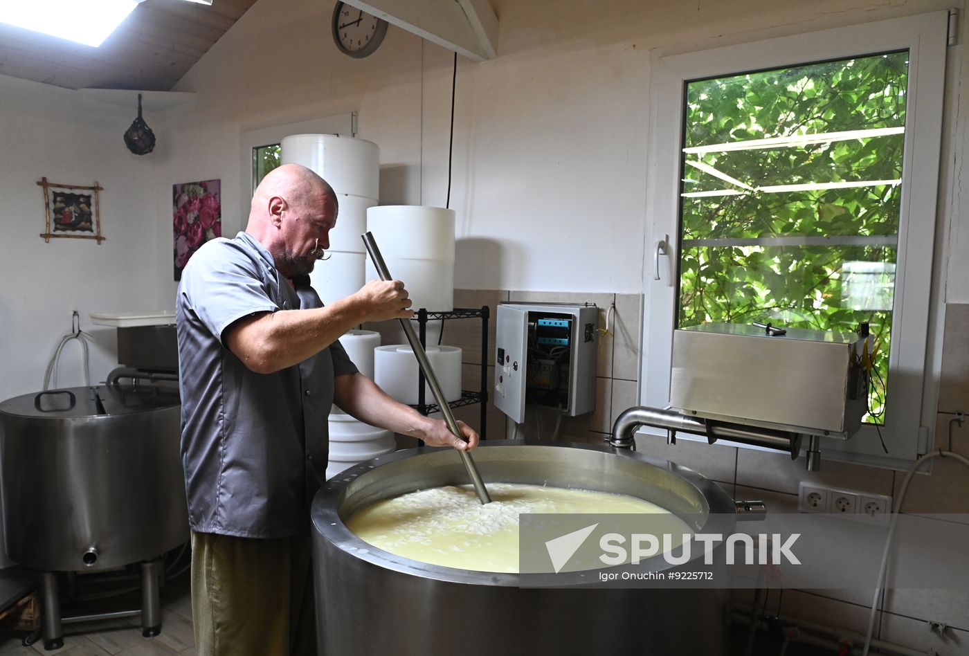 Russia Cheese Factory