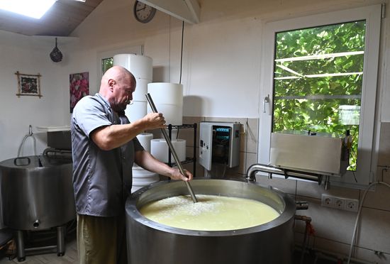 Russia Cheese Factory