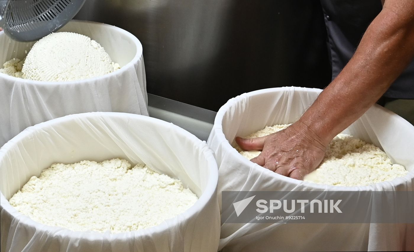 Russia Cheese Factory