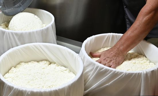 Russia Cheese Factory