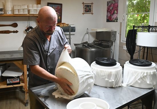 Russia Cheese Factory