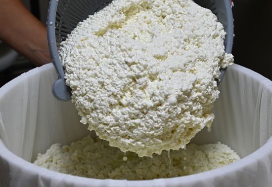 Russia Cheese Factory