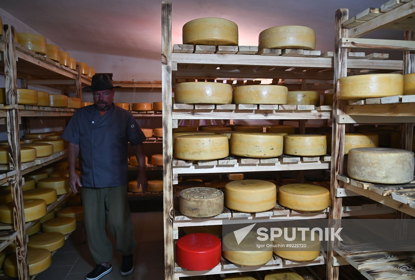 Russia Cheese Factory
