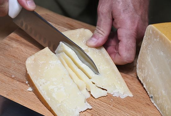 Russia Cheese Factory