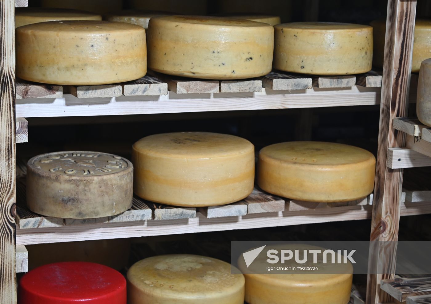 Russia Cheese Factory