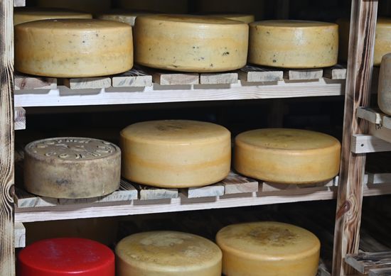 Russia Cheese Factory