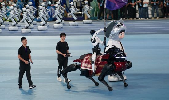 China World Humanoid Robot Games