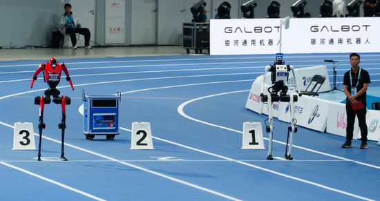 China World Humanoid Robot Games