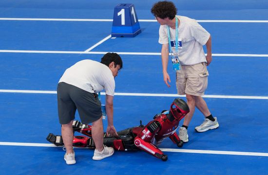 China World Humanoid Robot Games