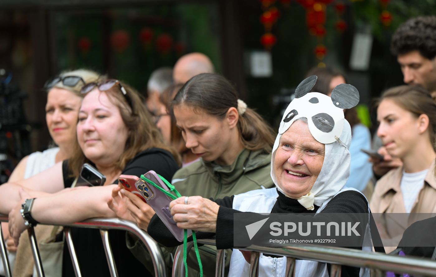 Russia Zoo Panda Birthday