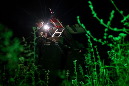 Russia Ukraine Military Operation UAVs