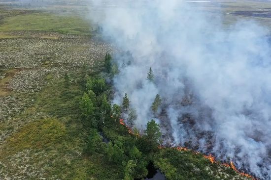 Russia Wildfires
