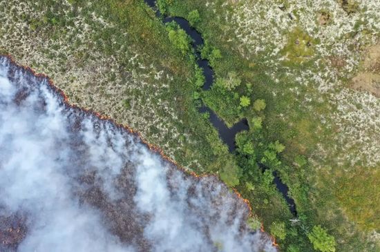 Russia Wildfires
