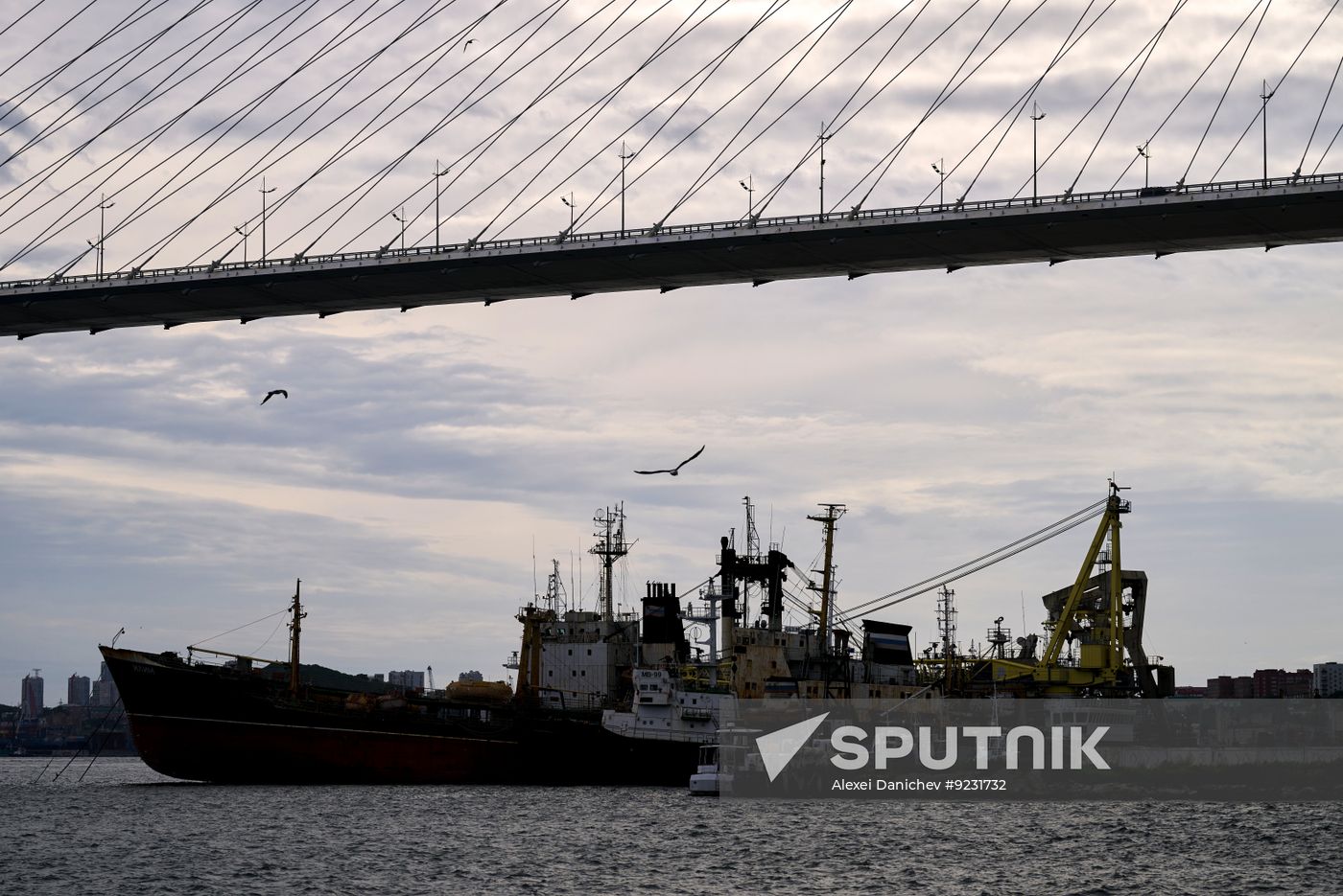 Russia Vladivostok Cityscapes