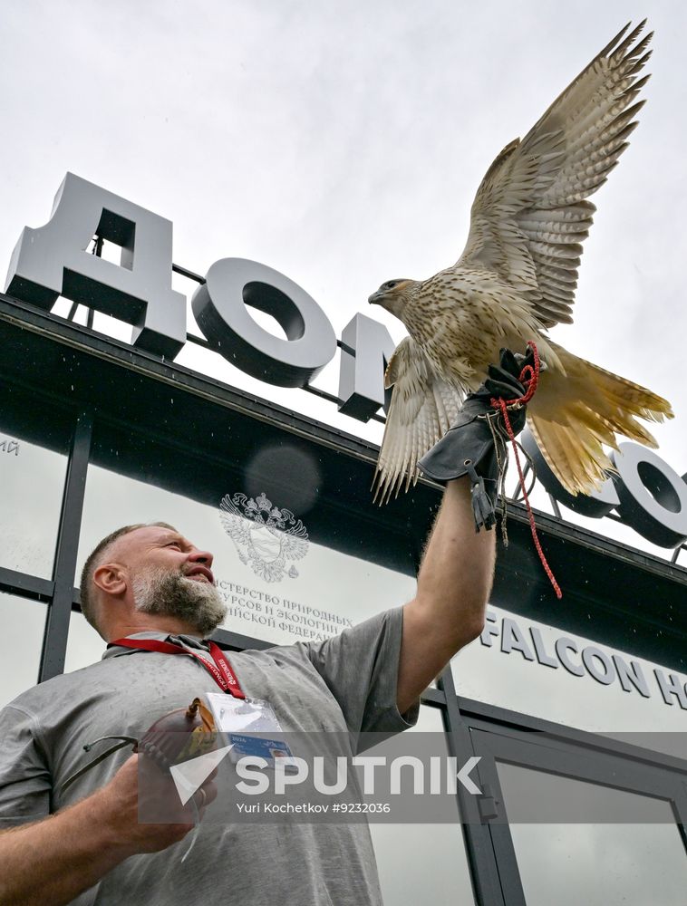EEF-2026. The Official Opening Ceremony of the House of Falcon Pavilion