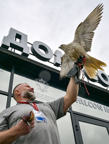 EEF-2026. The Official Opening Ceremony of the House of Falcon Pavilion