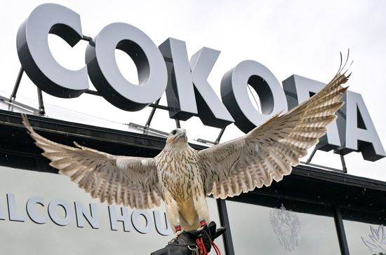 EEF-2026. The Official Opening Ceremony of the House of Falcon Pavilion