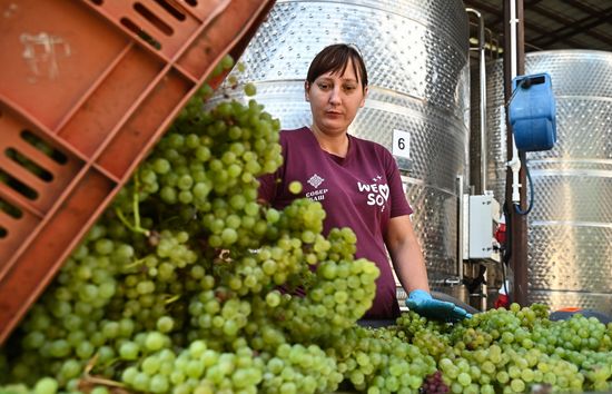 Russia Wine Industry