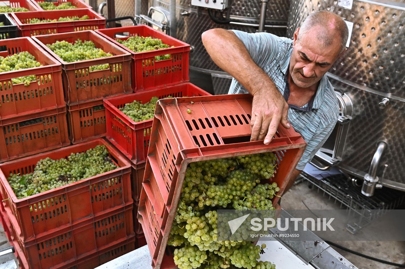 Russia Wine Industry