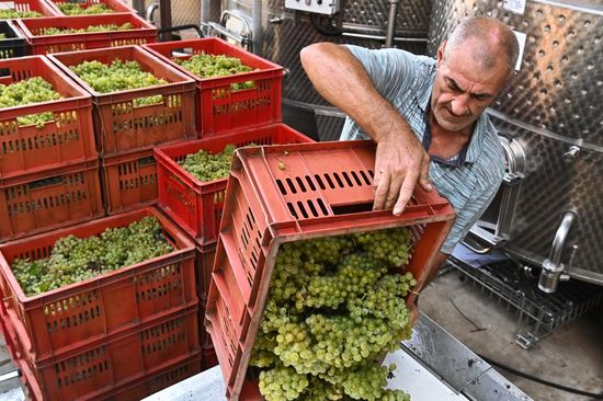 Russia Wine Industry
