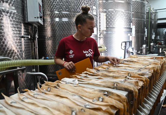 Russia Wine Industry