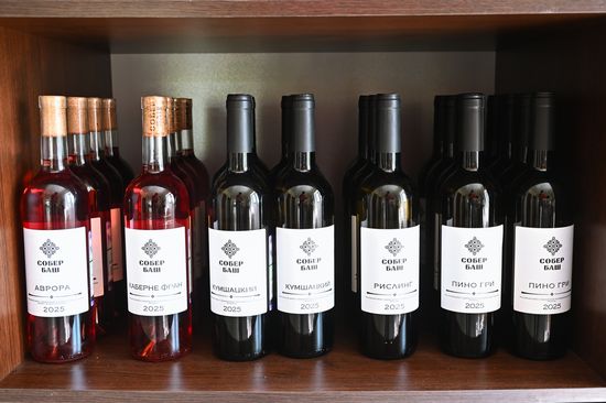 Russia Wine Industry