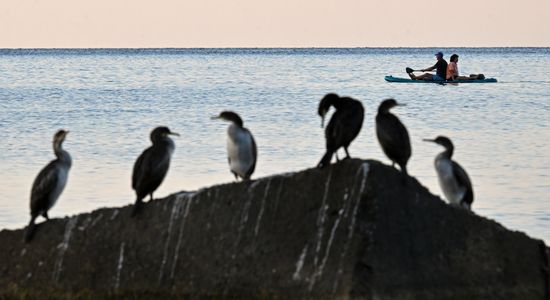 Russia Crimea Tourism