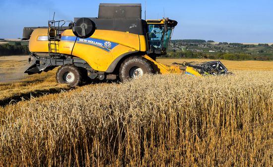 Russia Agriculture Wheat Harvesting