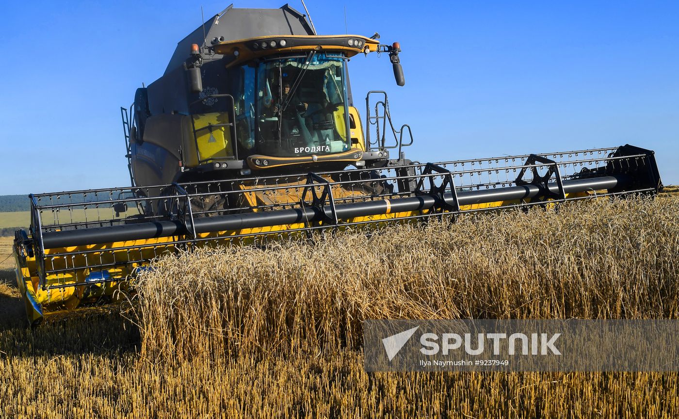 Russia Agriculture Wheat Harvesting