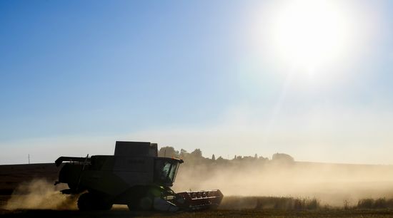 Russia Agriculture Wheat Harvesting