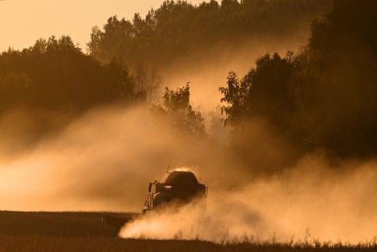 Russia Agriculture Wheat Harvesting