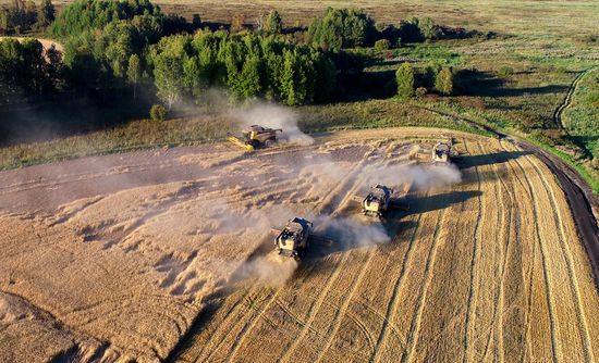 Russia Agriculture Wheat Harvesting