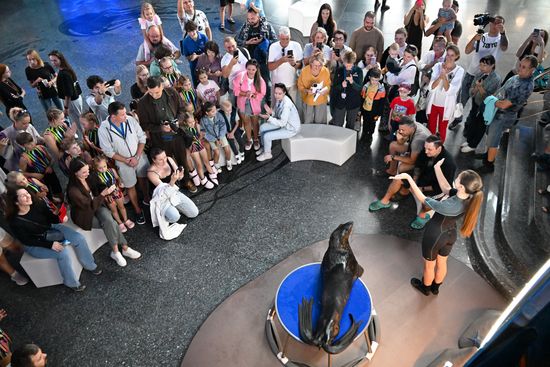 Russia Primorsky Aquarium